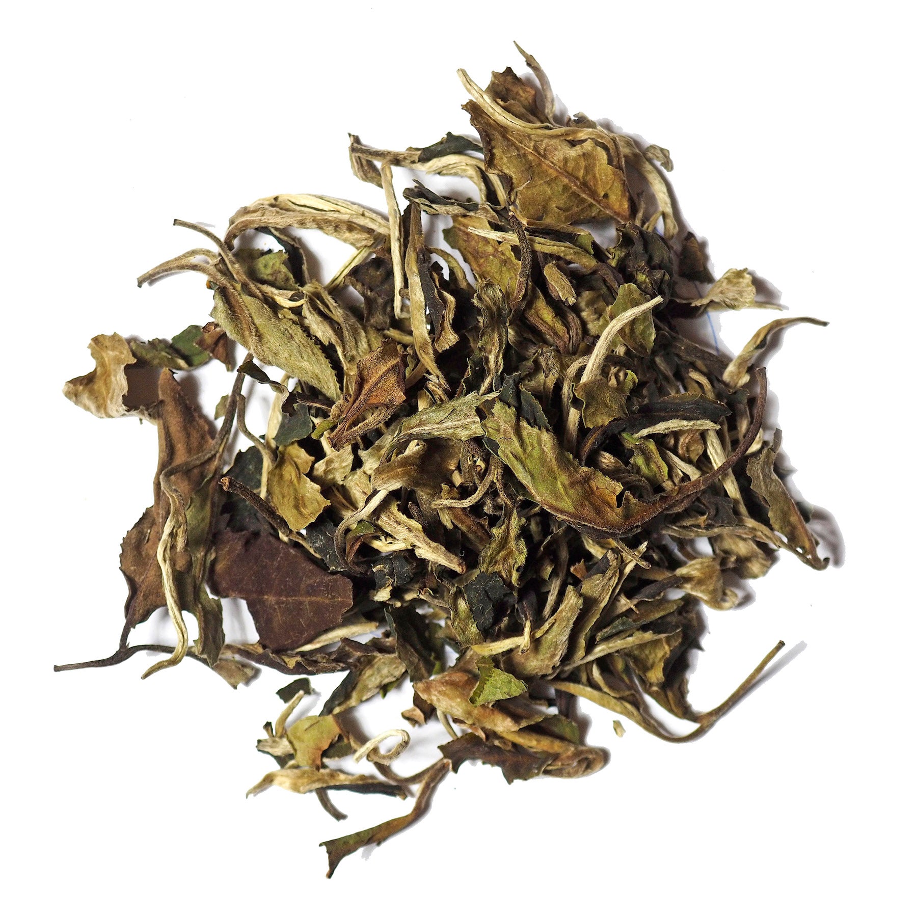 Pai Mu Tan White Tea