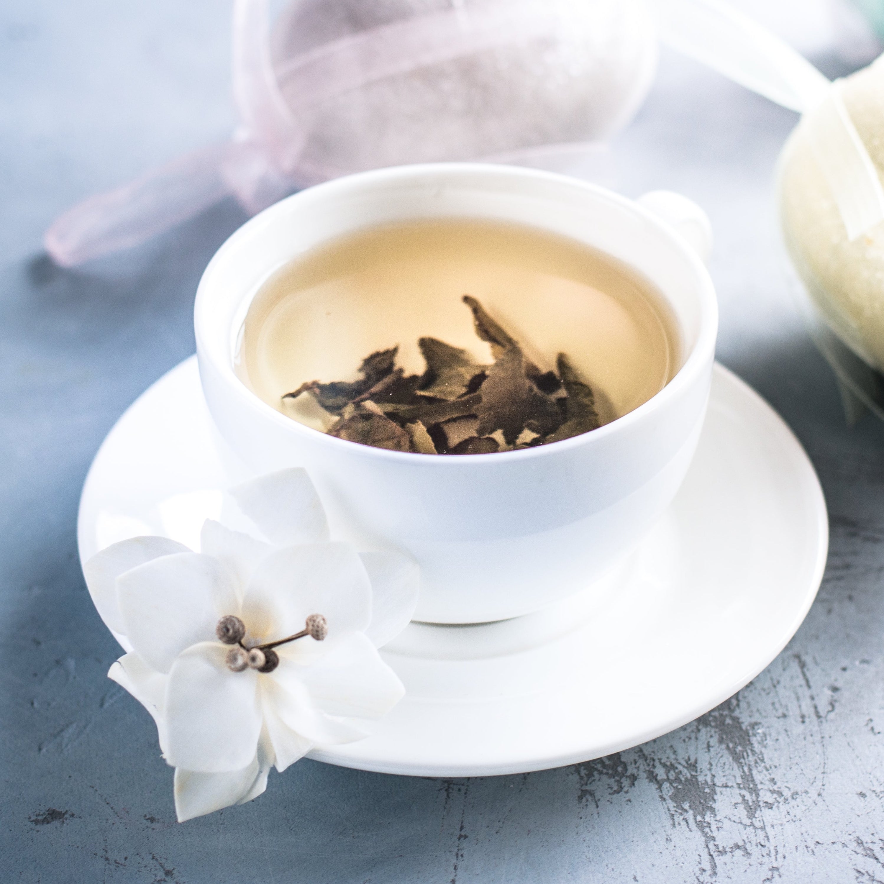 Premium Loose Leaf Tea — Clearview Tea Co.